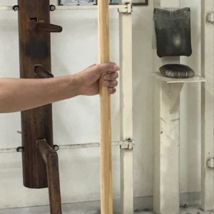 Wing Chun Six and Half Pole